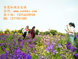 夏季旅行，你必須知道的那些事兒！